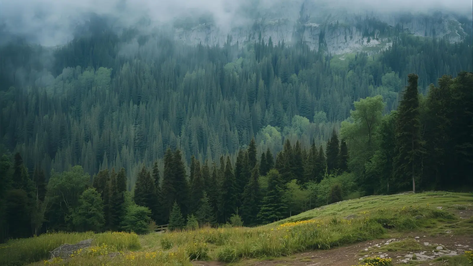 natural instagram caption