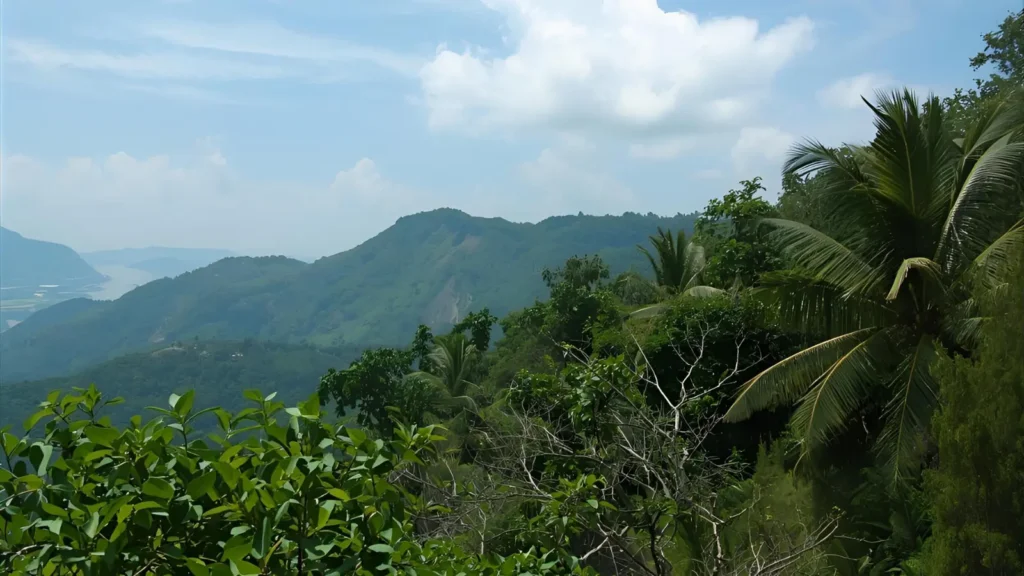 view captions for instagram